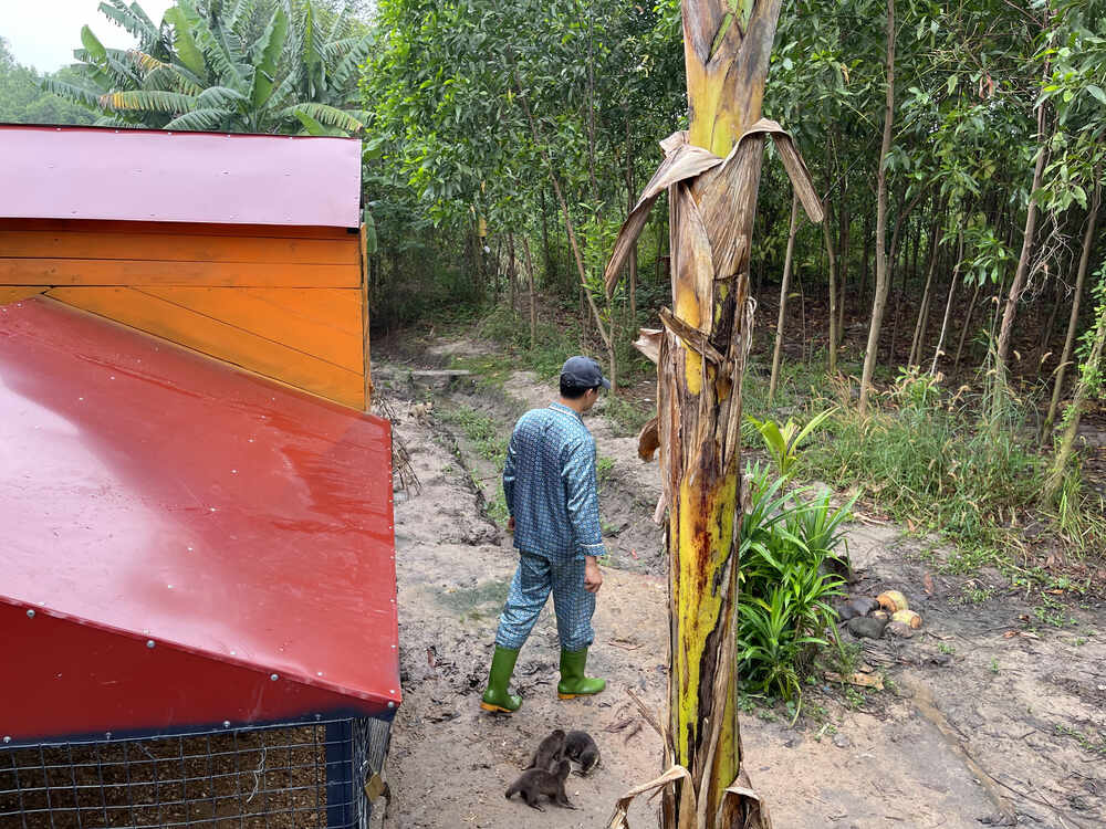 Chàng Tiên Cá Trả Lời Câu Hỏi Phóng Vấn Tạp Chí Biển Việt Nam Về Bảo Tồn Rái Cá