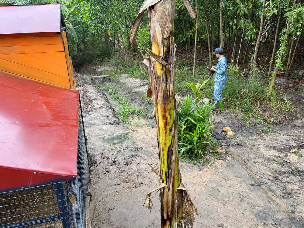 Chàng Tiên Cá Trả Lời Câu Hỏi Phóng Vấn Tạp Chí Biển Việt Nam Về Bảo Tồn Rái Cá