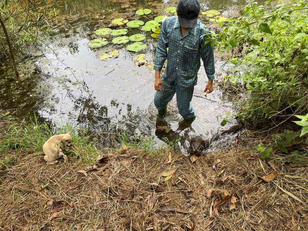 Chàng Tiên Cá Trả Lời Câu Hỏi Phóng Vấn Tạp Chí Biển Việt Nam Về Bảo Tồn Rái Cá