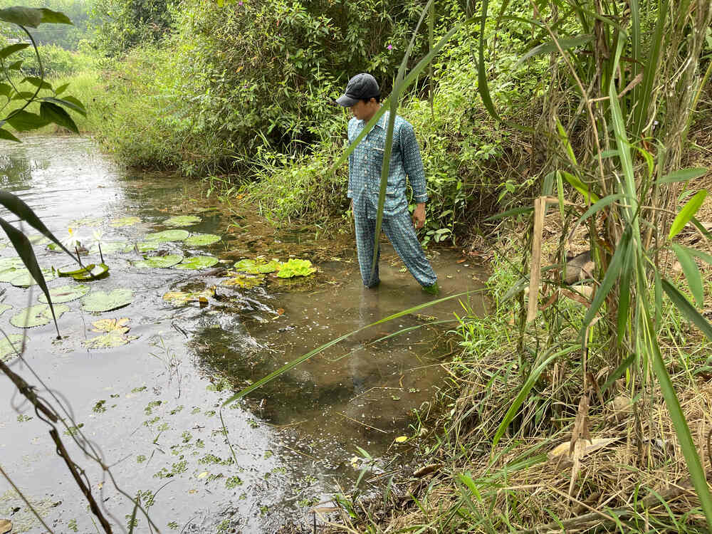 Chàng Tiên Cá Trả Lời Câu Hỏi Phóng Vấn Tạp Chí Biển Việt Nam Về Bảo Tồn Rái Cá