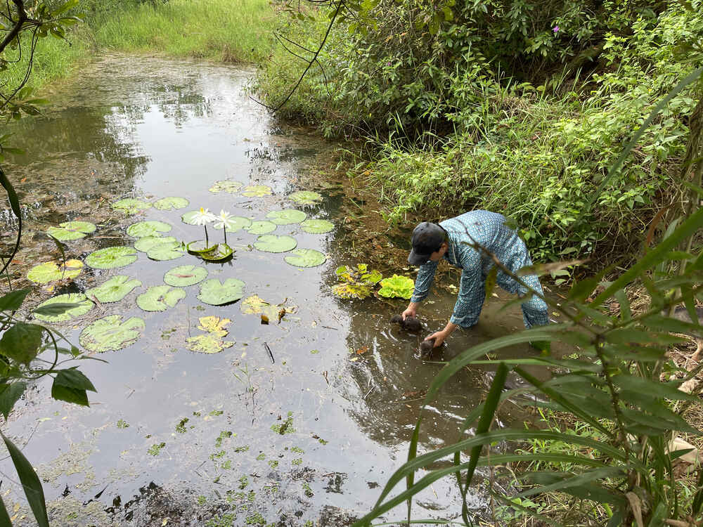 Chàng Tiên Cá Trả Lời Câu Hỏi Phóng Vấn Tạp Chí Biển Việt Nam Về Bảo Tồn Rái Cá
