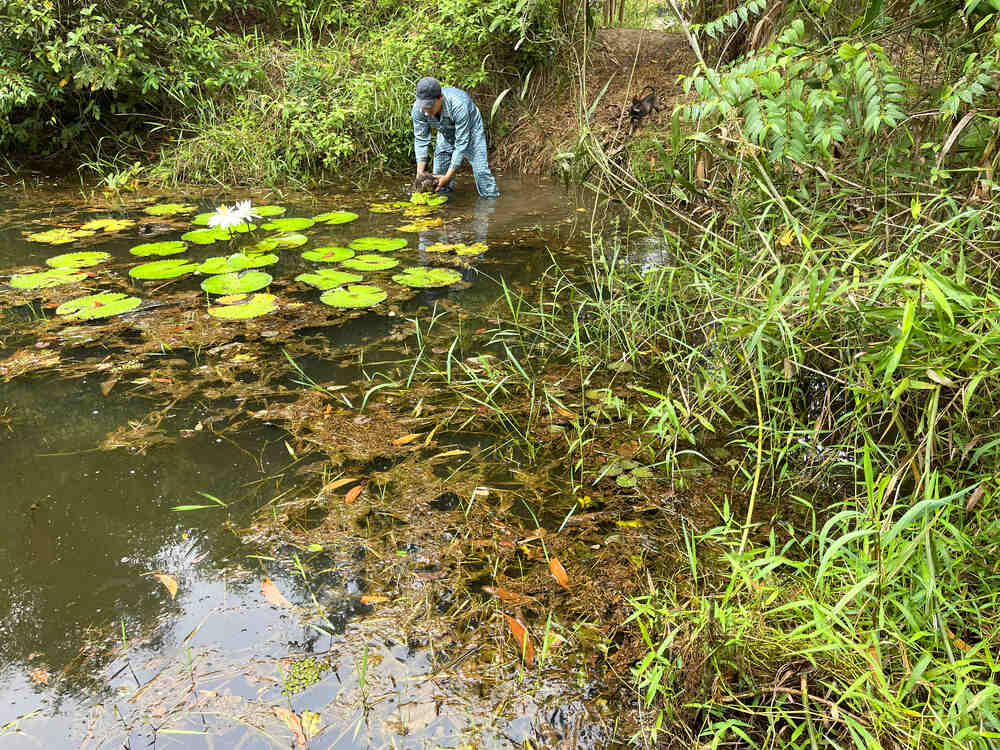 Chàng Tiên Cá Trả Lời Câu Hỏi Phóng Vấn Tạp Chí Biển Việt Nam Về Bảo Tồn Rái Cá