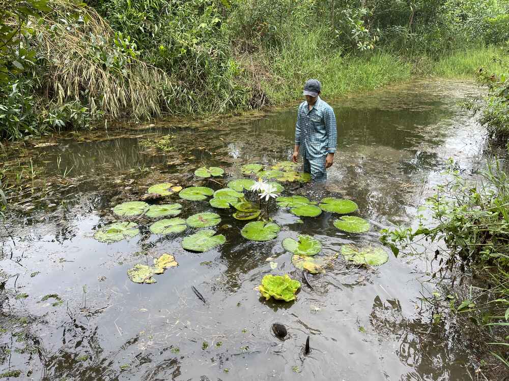 Chàng Tiên Cá Trả Lời Câu Hỏi Phóng Vấn Tạp Chí Biển Việt Nam Về Bảo Tồn Rái Cá