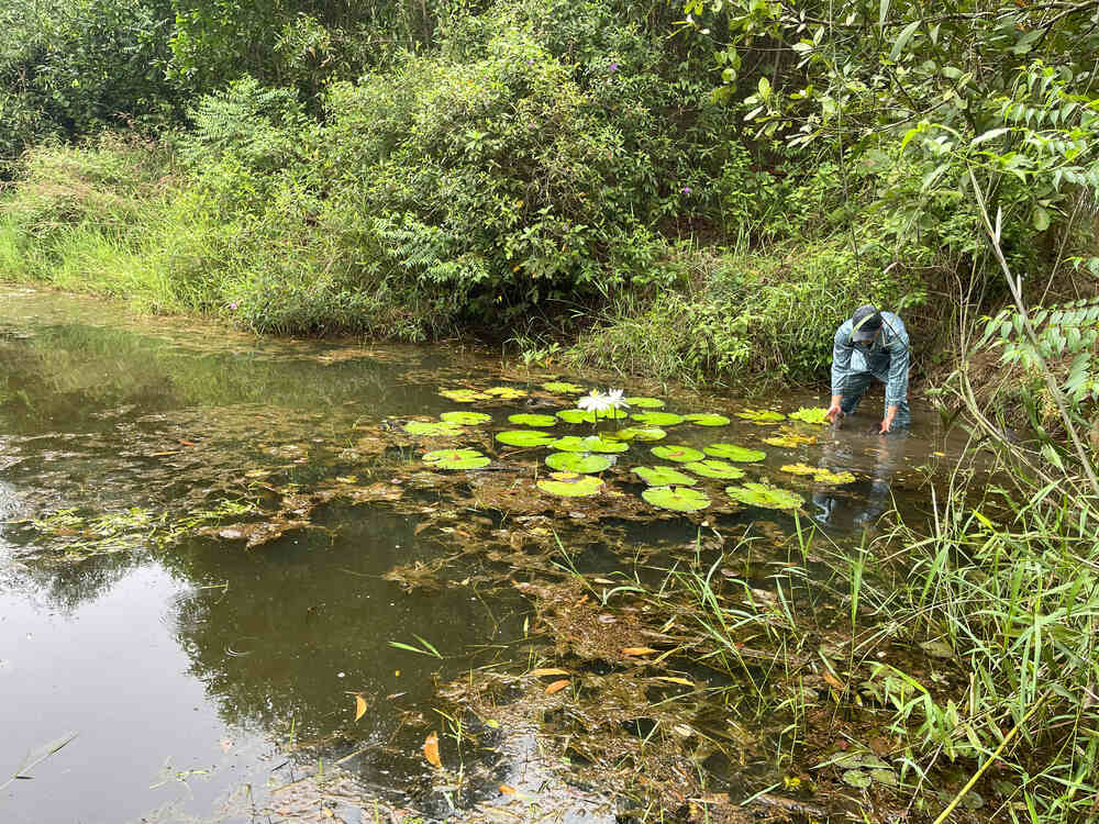 Chàng Tiên Cá Trả Lời Câu Hỏi Phóng Vấn Tạp Chí Biển Việt Nam Về Bảo Tồn Rái Cá