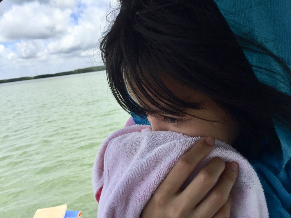 Rừng đước 2013 còn rậm rạp đến 2022 xơ xác vì đô thị hóa