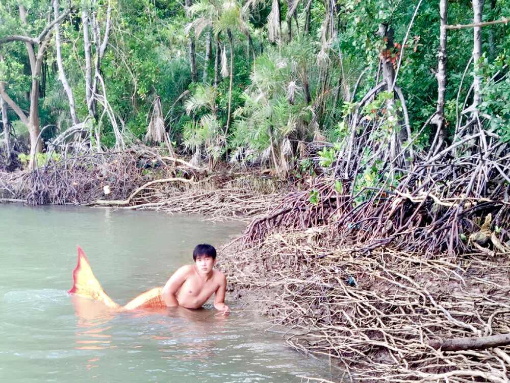 Chàng tiên cá Tiun kêu gọi bảo tồn rái cá hoang dã