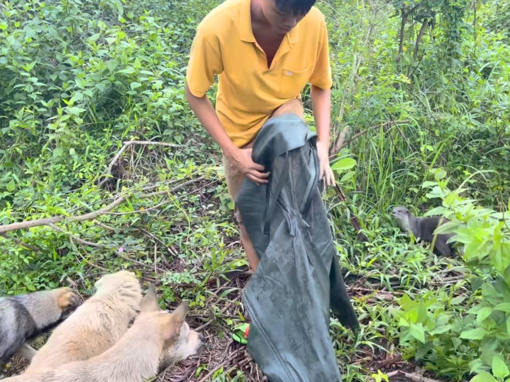 Bạn Khoa học làm bảo tồn rái cá cho tiên cá Tiun