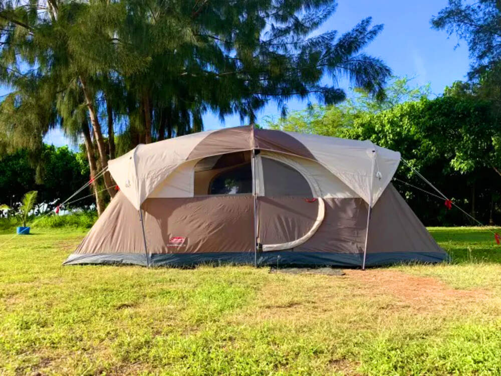 Du Lịch Cắm Trại Rừng Ngập Mặn Với Chàng Tiên Cá Tiun