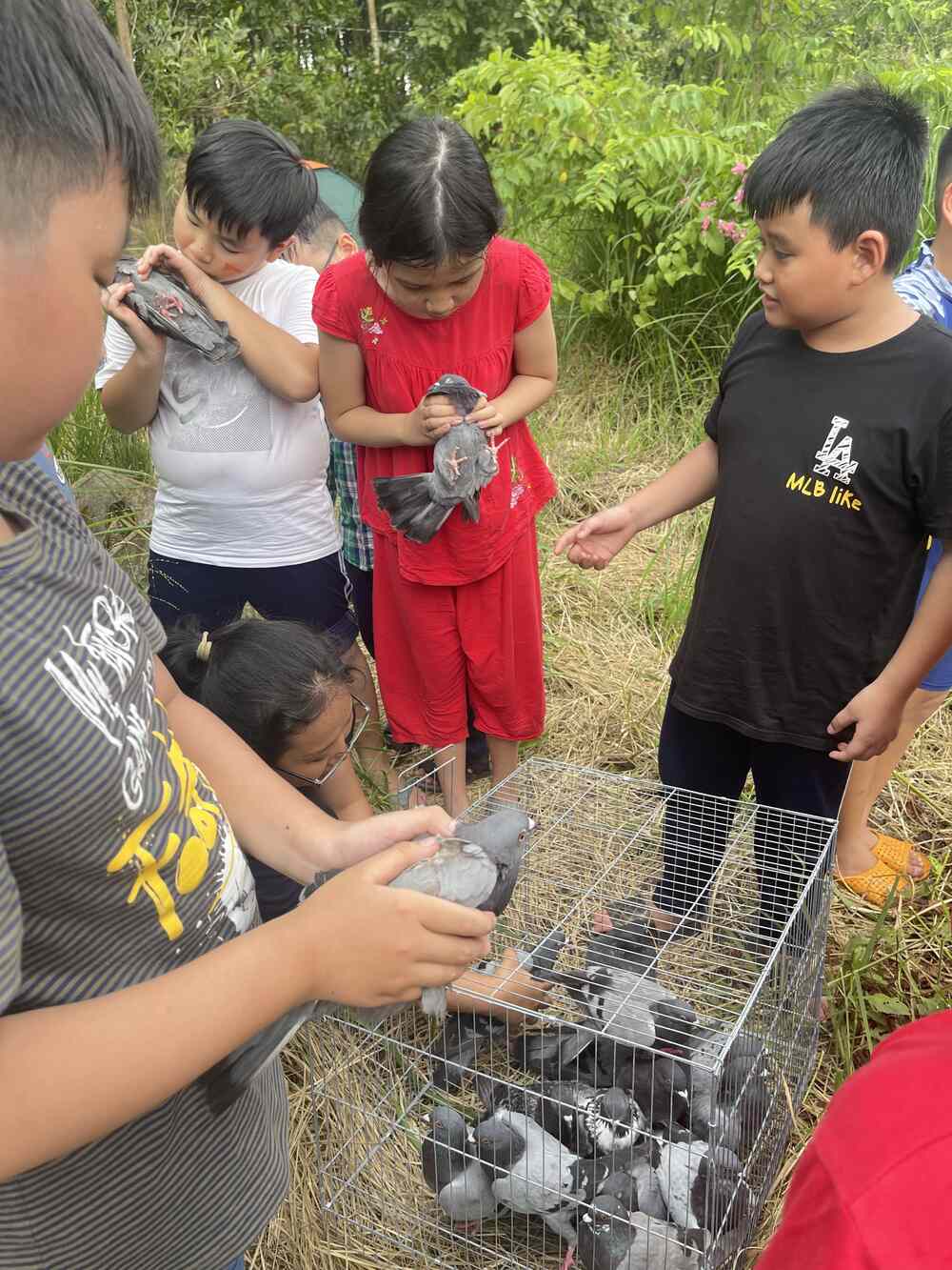 Học giải cứu động vật