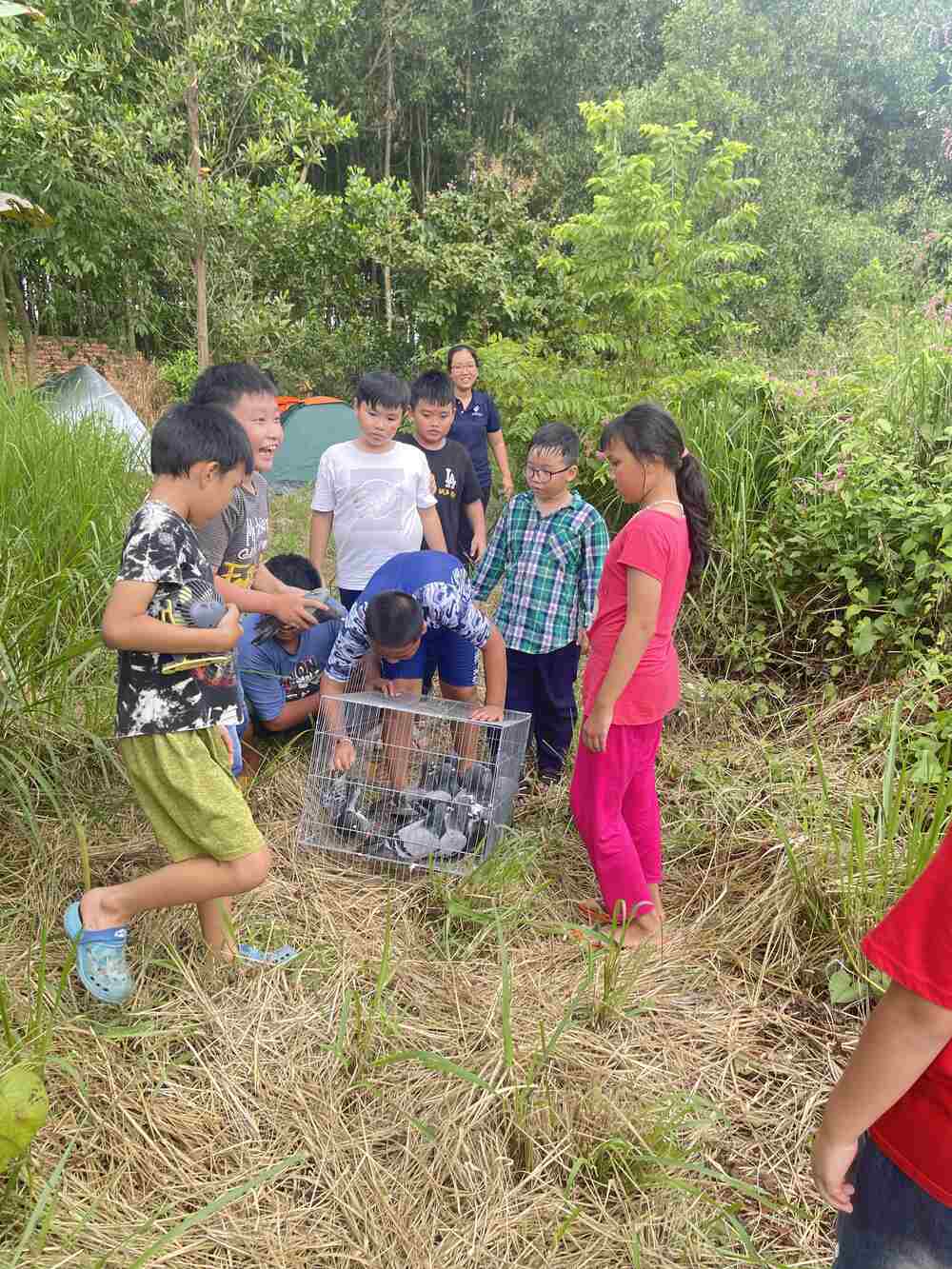 Chơi phóng sanh chim bồ câu