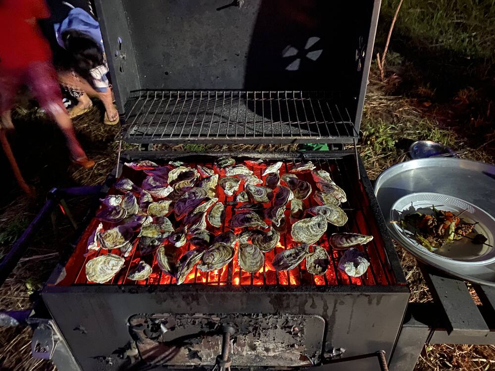 Thưởng thức hào sữa nướng