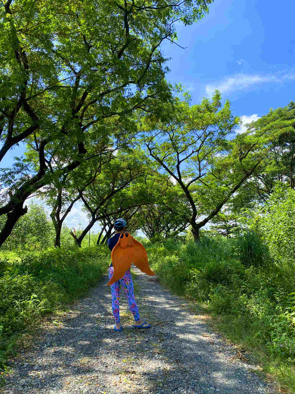 Chị Thu Eva mang đuôi tiên cá chuyên nghiệp Mahina giá tốt tại Tiun