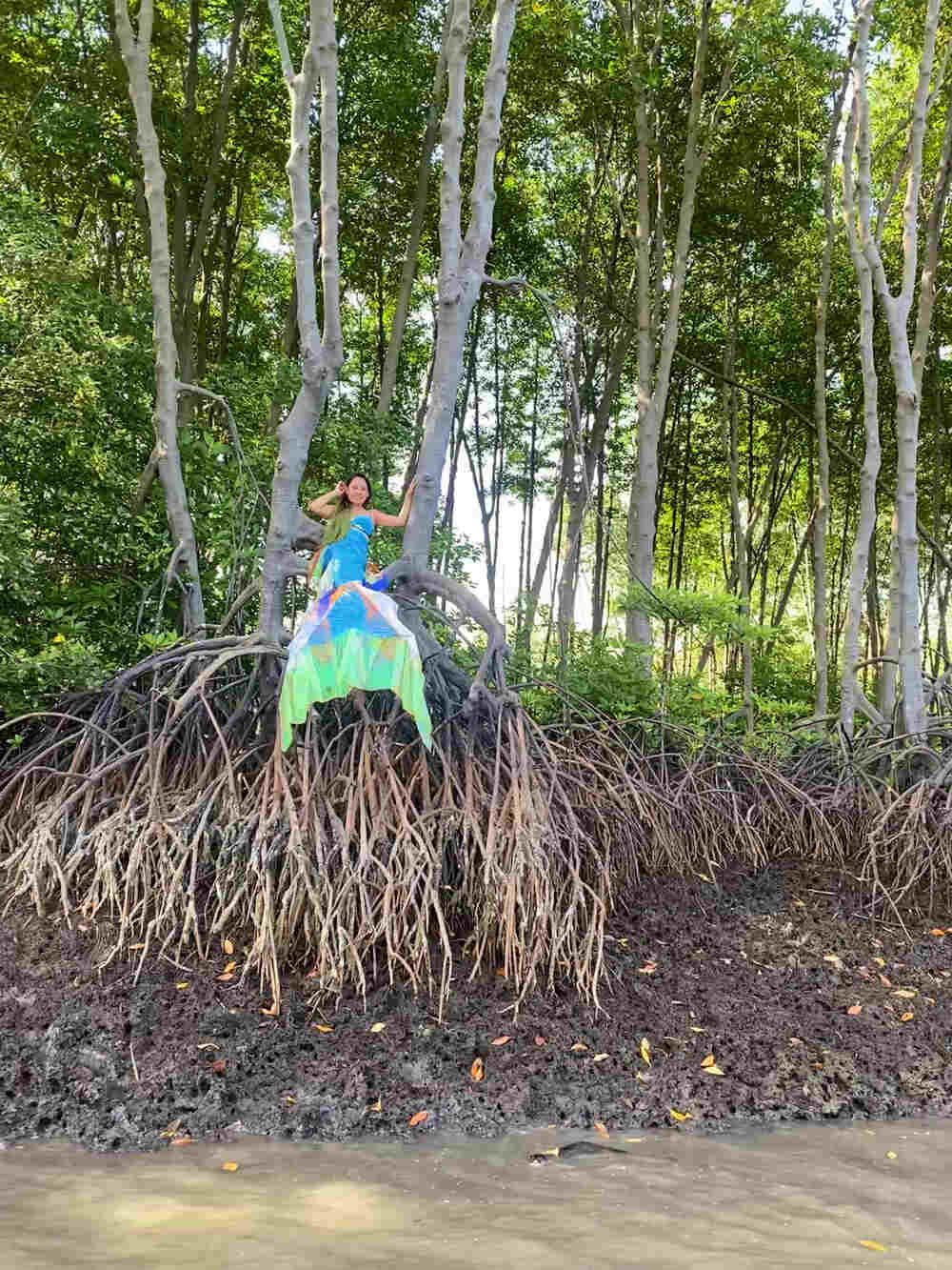 Nàng tiên cá Thu nghỉ ngơi trên cây đước như rái cá Titi