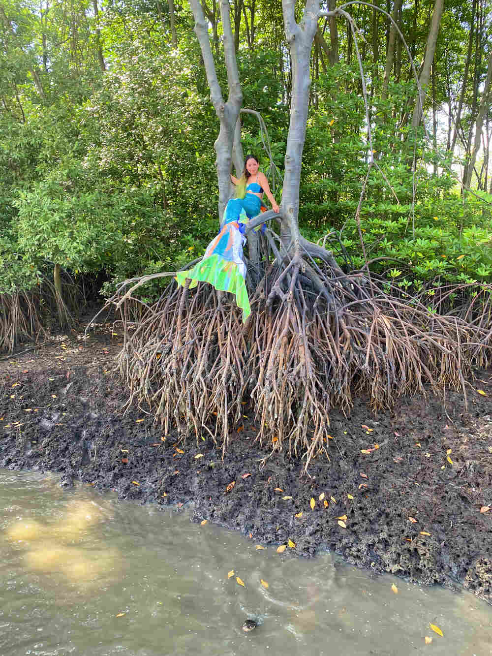 Học bơi nàng tiên cá nâng cao trong rừng đước khiến chị em phải trầm trồ