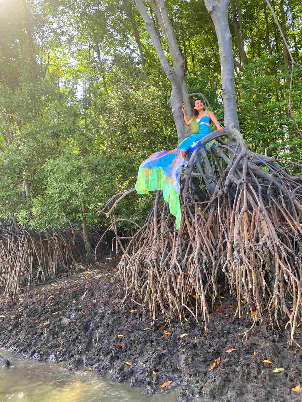 Học bơi tiên cá nâng cao Tiun gặp được rái cá hoang dã Titi trong rừng đước