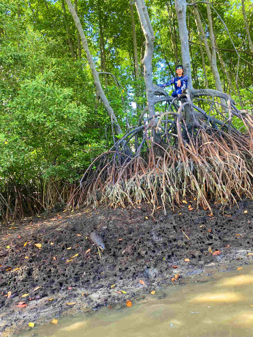Học bơi tiên cá Tiun được gặp rái cá hoang dã