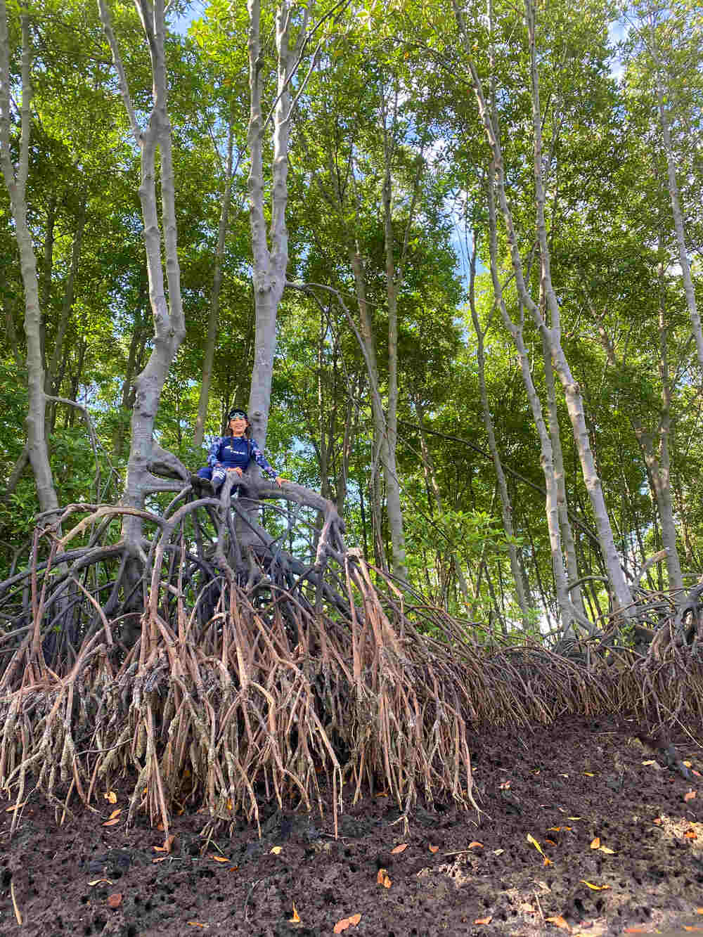 Học bơi tiên cá Tiun được trải nghiệm cảnh đẹp tuyệt nhất Việt Nam