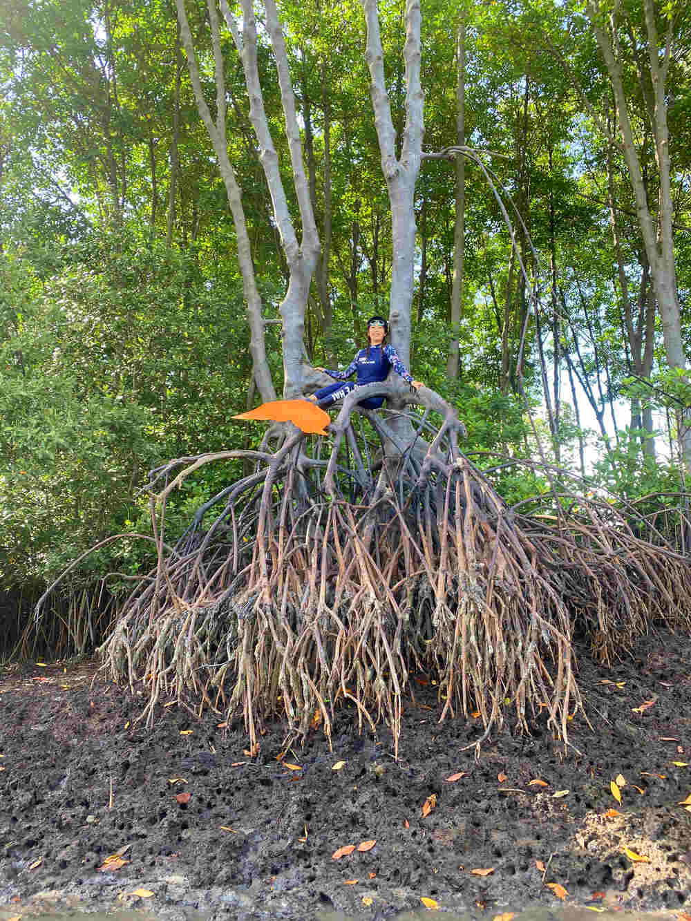 Học bơi tiên cá Tiun là có được trải nghiệm về sự hưởng thụ cao cấp nhất đời người