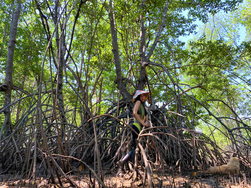 Phóng sanh 10k tặng kèm con đường Di Lặc