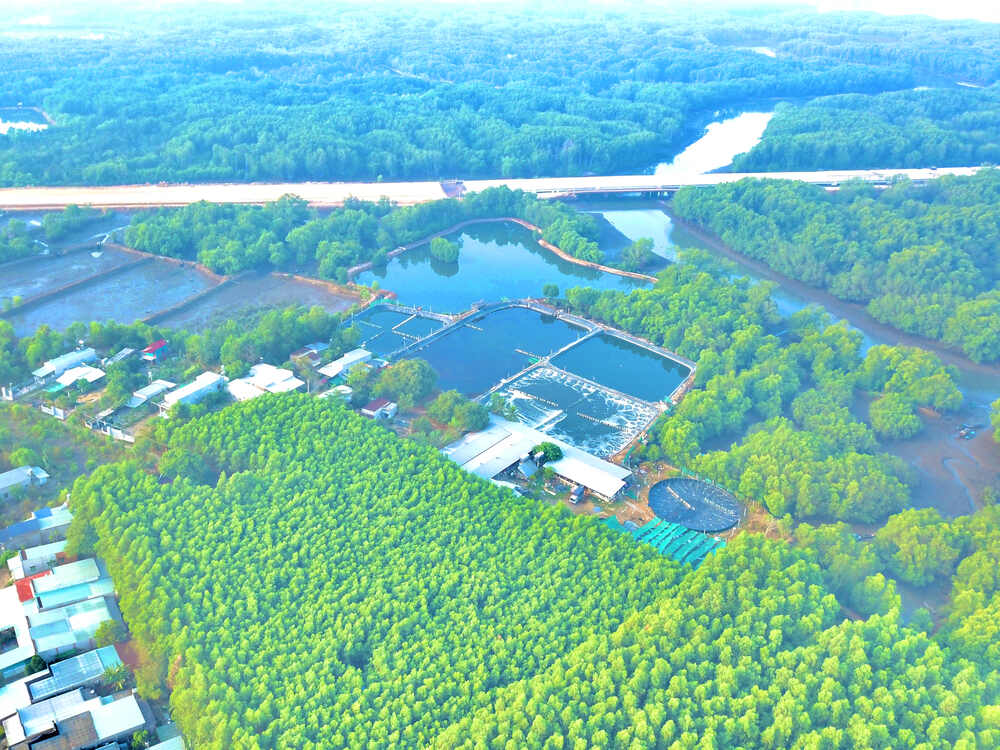 Khúc sông hình chữ T đường cao tốc "chó cá"