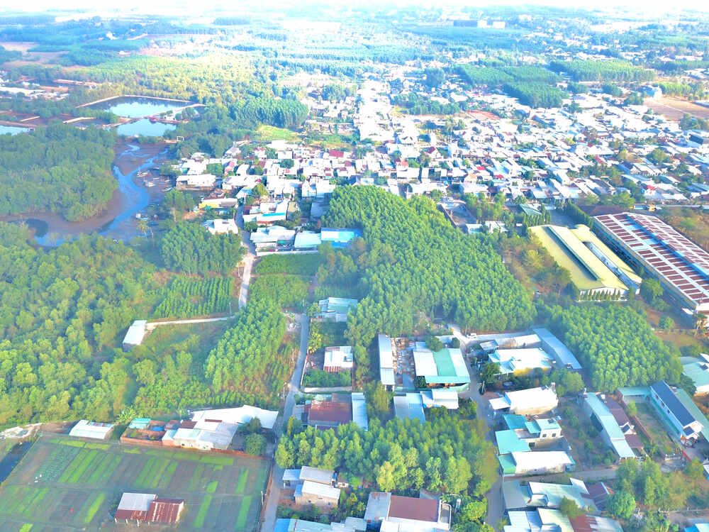 Cảnh đô thị hóa trong rừng ngập mặn nơi Tiun đang làm bảo tồn