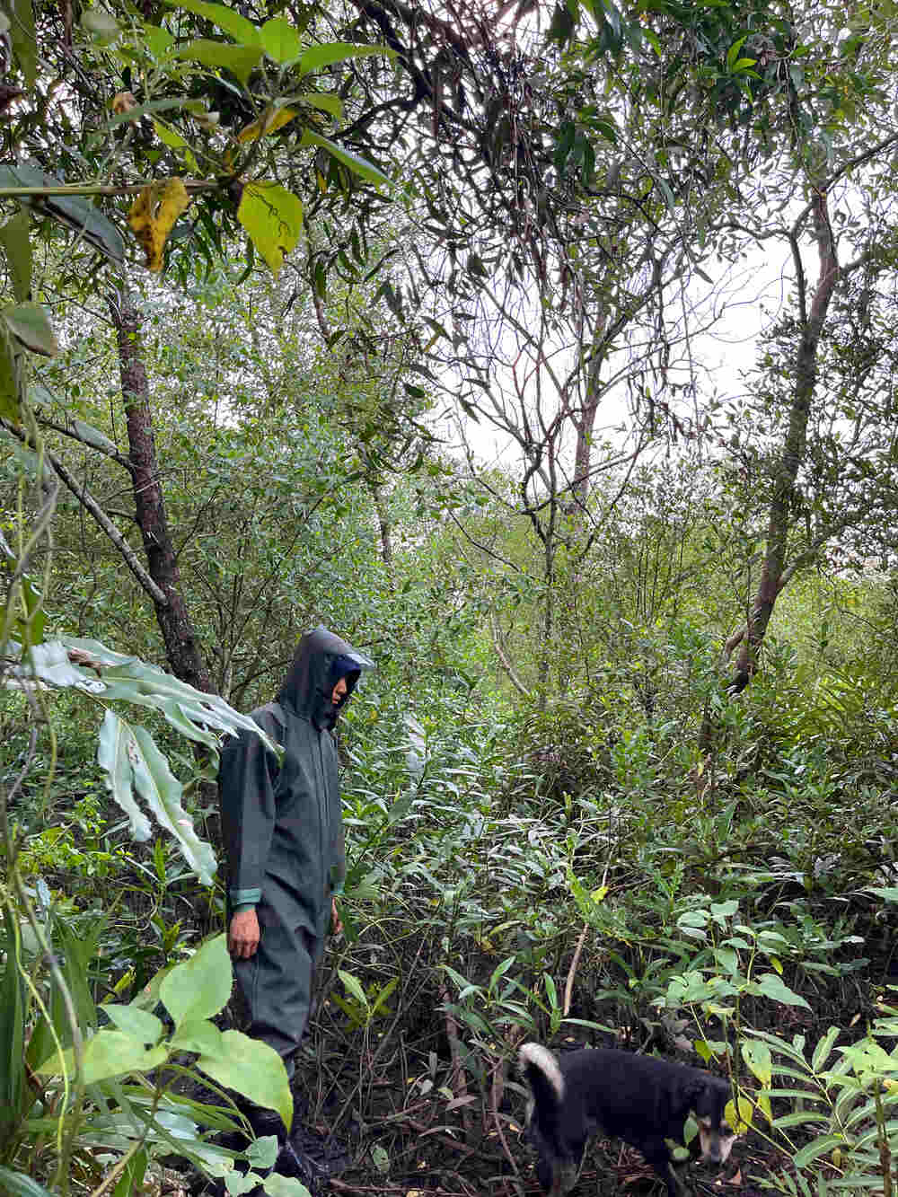 Quần áo liền ủng bảo hộ lao động dưới nước