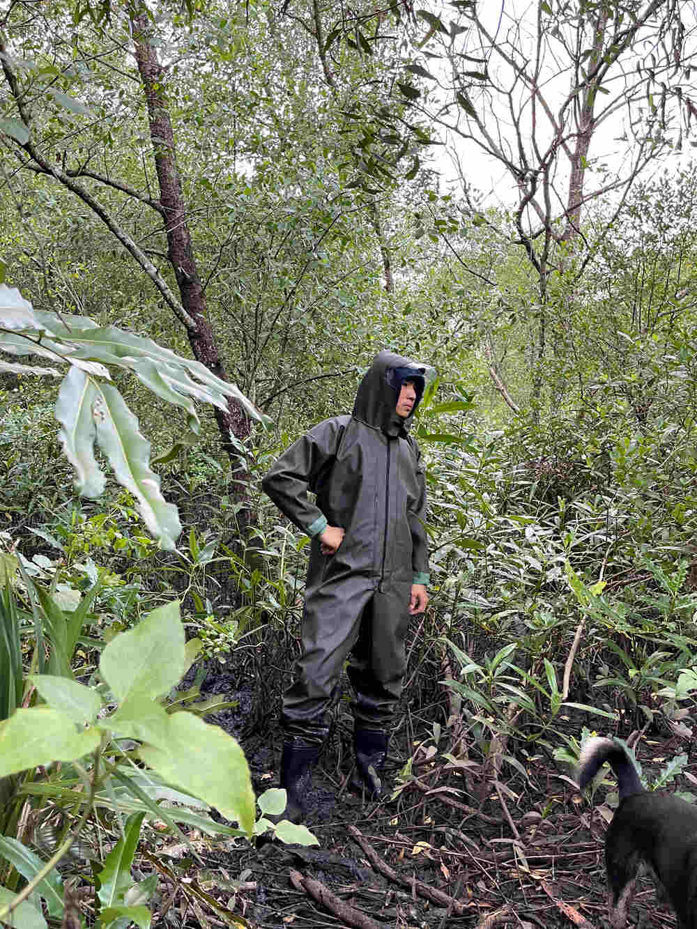 Quần áo liền ủng giúp hoạt động môi trường nước của tiên cá Tiun