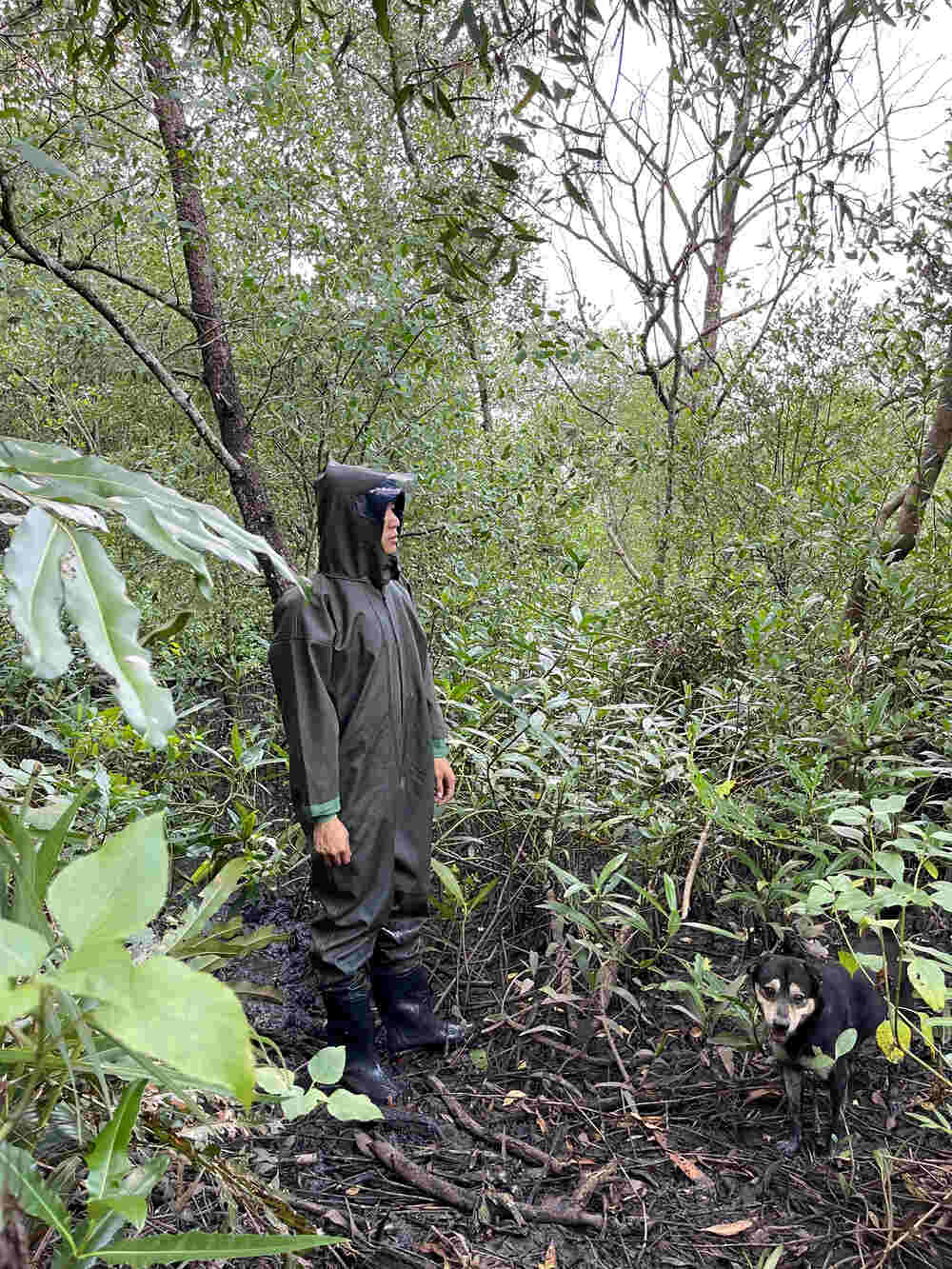 Quần áo liền ủng tiên cá Tiun đồ dùng cần thiết cho việc đi lại trong rừng ngập mặn