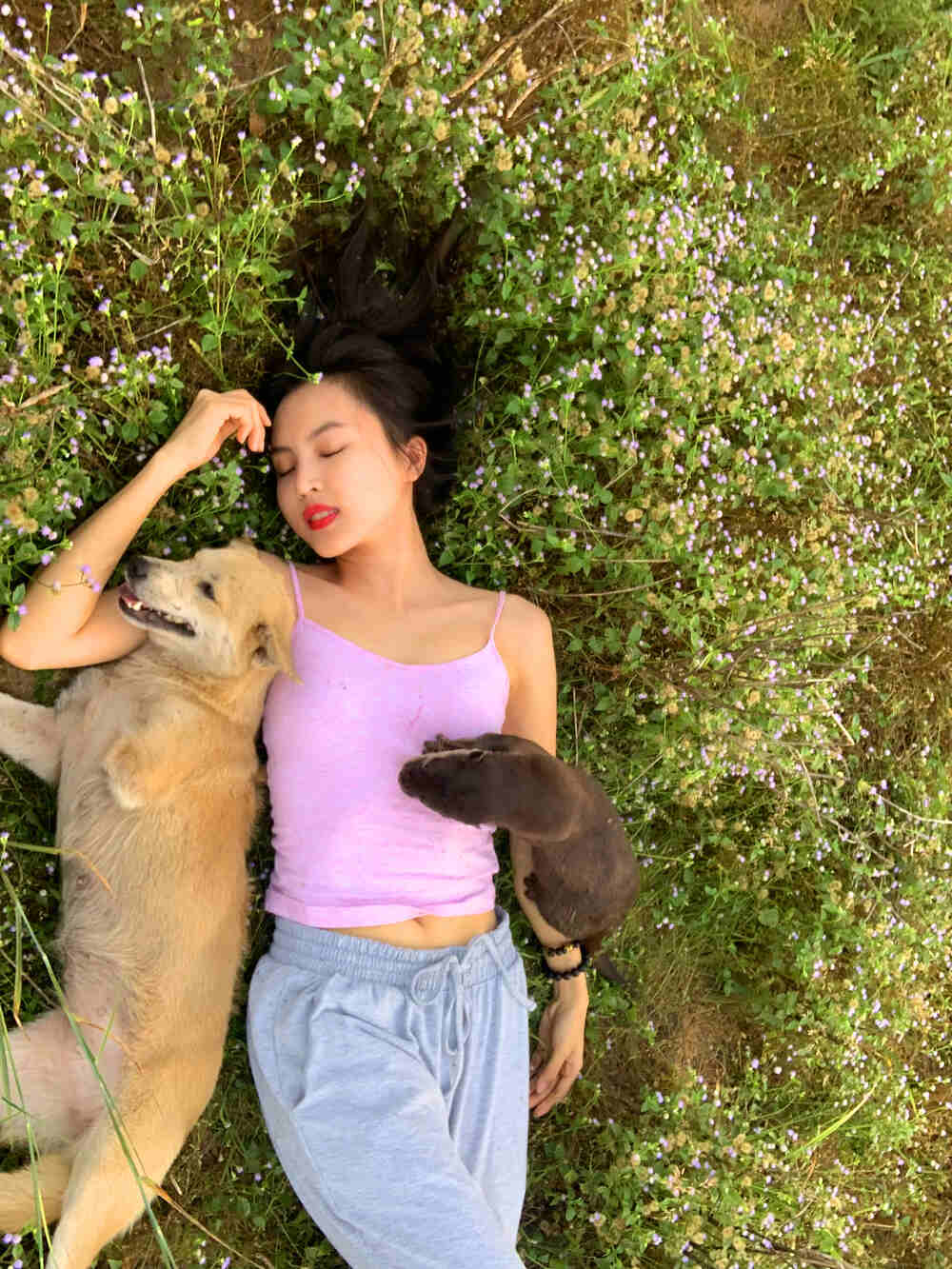 Sống trong rừng với rái cá