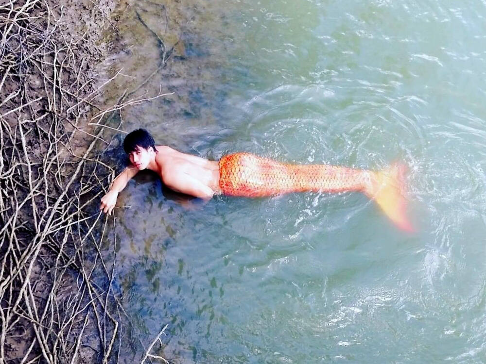 Chàng tiên cá Tiun sống trong rừng đước