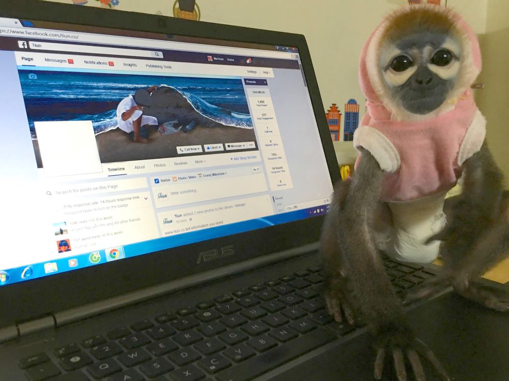 Bé Voọc thích chơi Laptop của Tiun