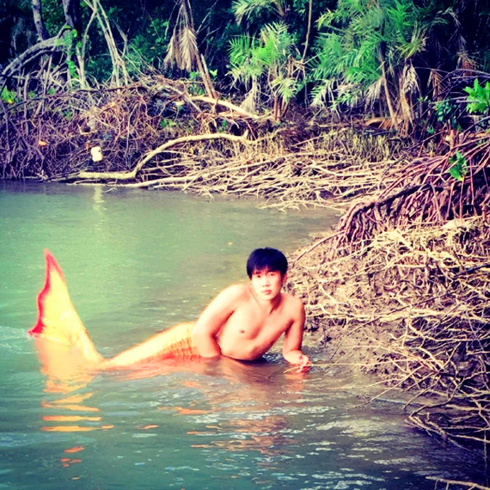 Tiun bắt đầu hoạt động môi trường biển và bắt đầu bảo tồn rừng đước 2016