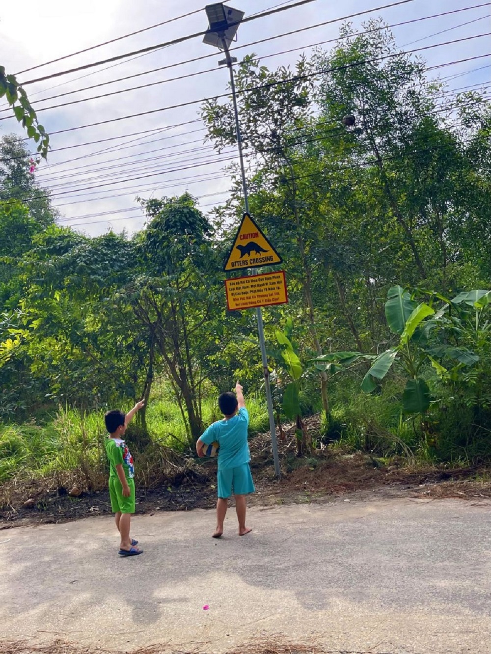 Biển cảnh báo rái cá của Tiun thu hút trẻ em tìm hiểu thông tin