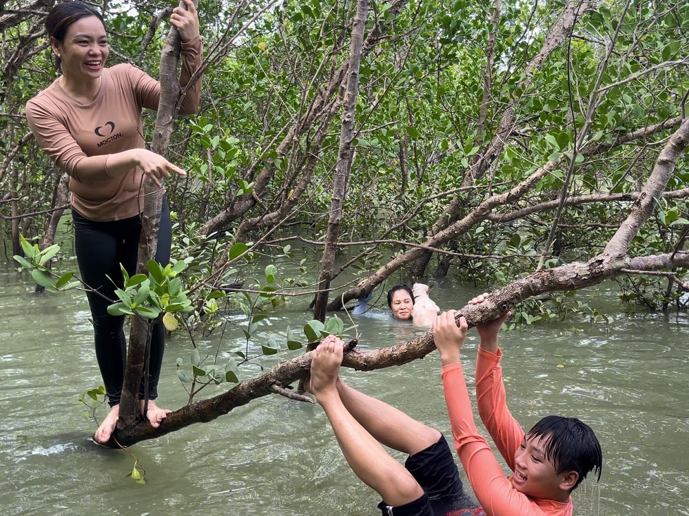 Ô kìa có con ba khía người đu cây bự chà bá