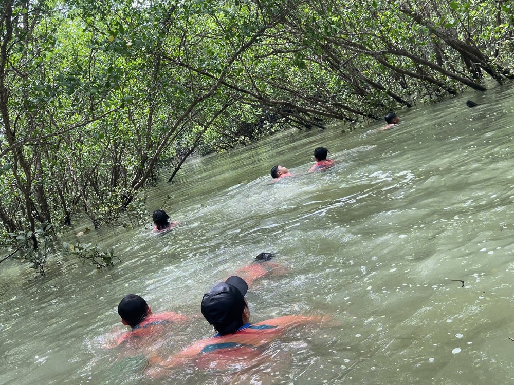 Tiun cùng các học trò vào lãnh địa tiên cá trong rừng đước