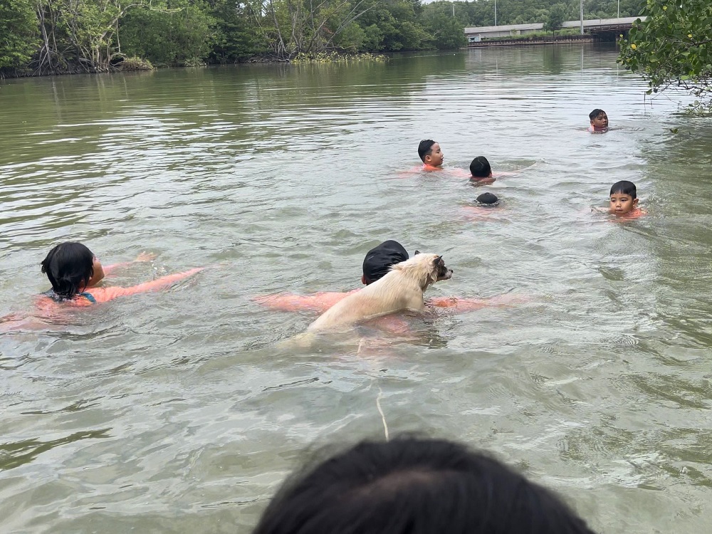 Tiên cá Tiun kéo thuyền bát nhã chở mọi người đến bến giác ngộ tình yêu thiên nhiên và động vật