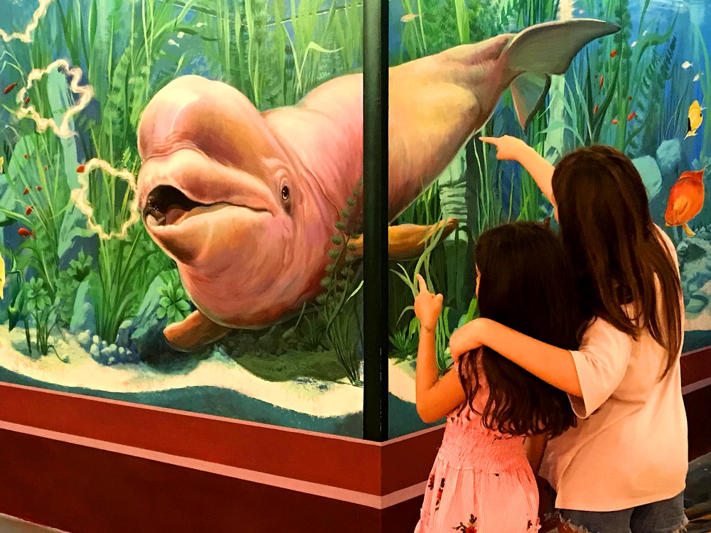 Artinus - bảo tàng tranh 3D lớn nhất Việt Nam