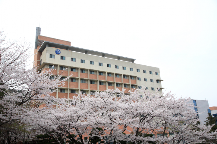 Tại Sao Đại Học DongEui Là Lựa Chọn Tốt Nhất Cho Sinh Viên Tại Busan