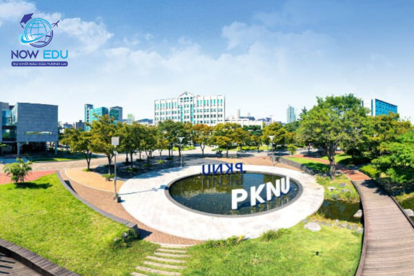 TRƯỜNG ĐẠI HỌC QUỐC GIA PUKYONG