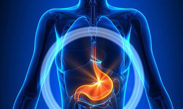 Mối liên hệ giữa gan và dạ dày trong Đông y - Hiểu để bảo vệ sức khoẻ