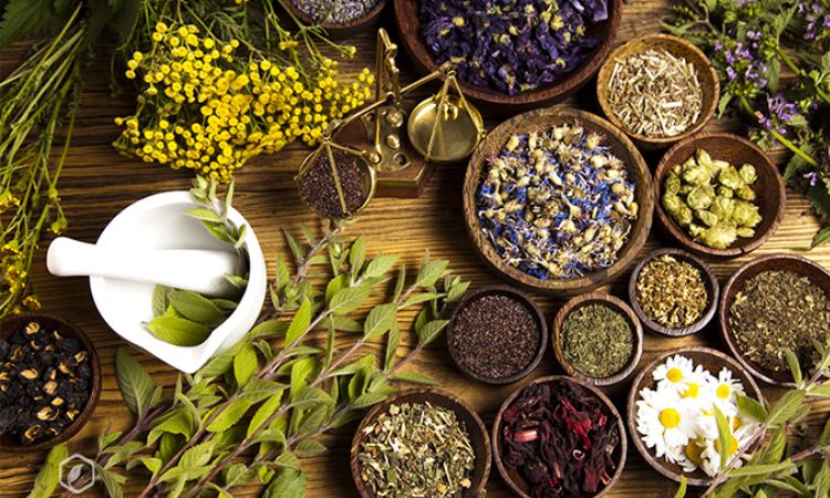 Các bài thuốc dân gian chữa đau dạ dày hiệu quả, an toàn và dễ áp dụng