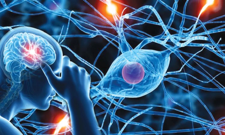 Bệnh thần kinh là gì? Cách phân biệt bệnh thần kinh với bệnh tâm thần