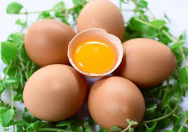 Gan nhiễm mỡ ăn trứng được không? Hướng dẫn chế độ ăn uống cho người bệnh gan nhiễm mỡ