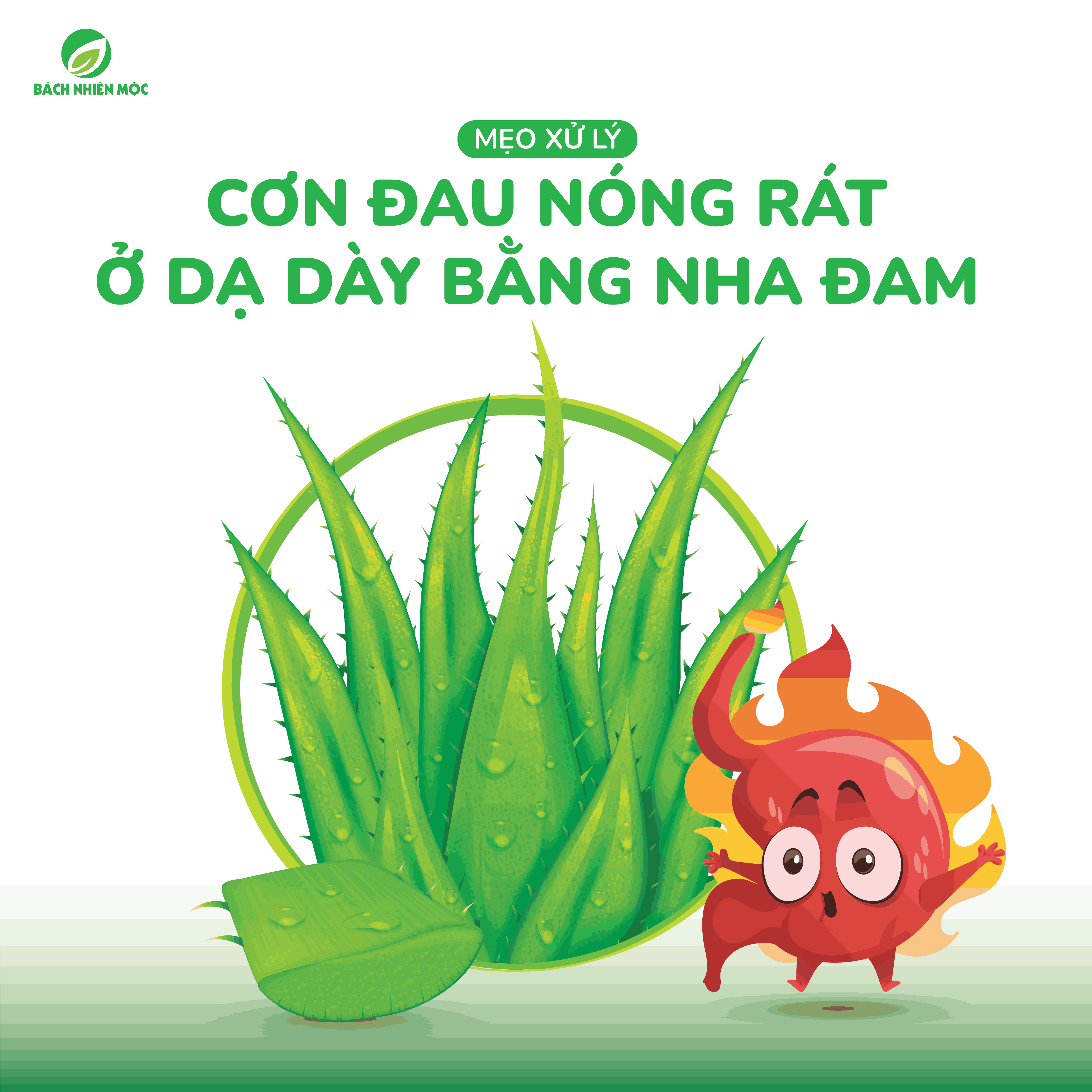 Tip xử lý cơn đau nóng rát ở dạ dày bằng nha đam