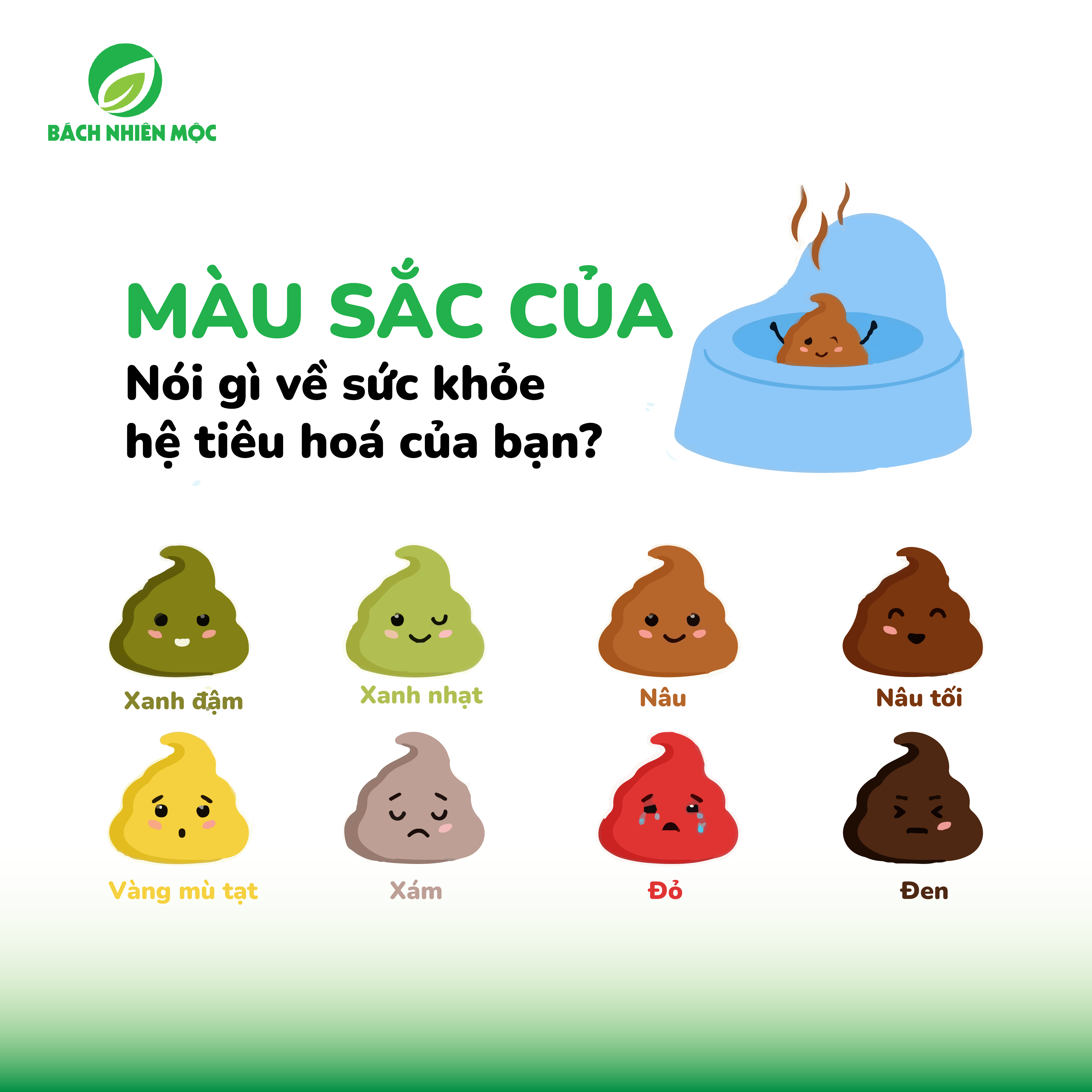 Màu sắc phân nói gì về sức khoẻ hệ tiêu hoá? Giãi mã những dấu hiệu quan trọng