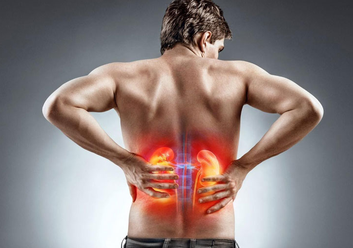 Thận Âm Hư Có Chữa Được Không? Hướng Dẫn Chi Tiết Từ A Đến Z