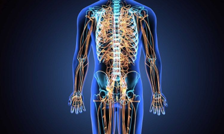 Bệnh thần kinh ngoại biên: Nguyên nhân, dấu hiệu và cách điều trị hiệu quả