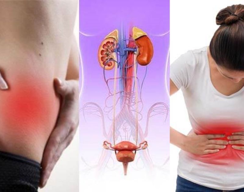 Viêm đường tiết niệu: Nguyên nhân, triệu chứng và cách phòng ngừa tái phát