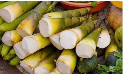 Viêm khớp ăn măng được không? Giải đáp từ chuyên gia và lưu ý