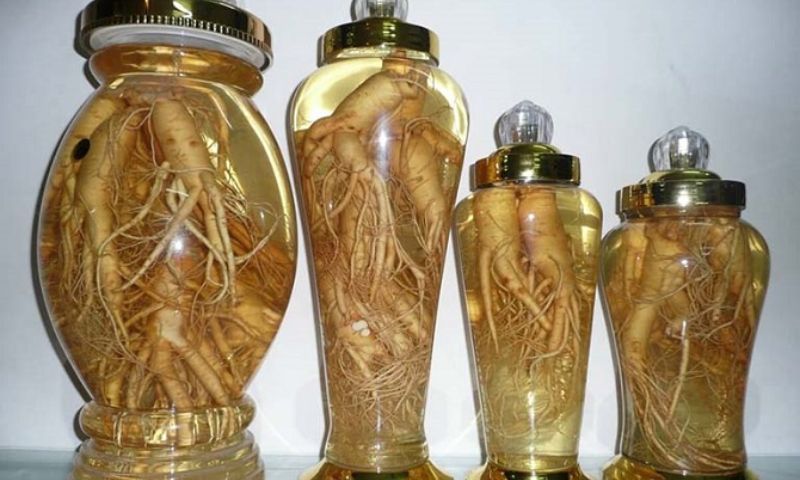 Tác dụng của rượu đinh lăng
